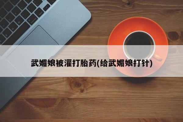 卖打胎药的微信武媚娘被灌打胎药(给武媚娘打针)