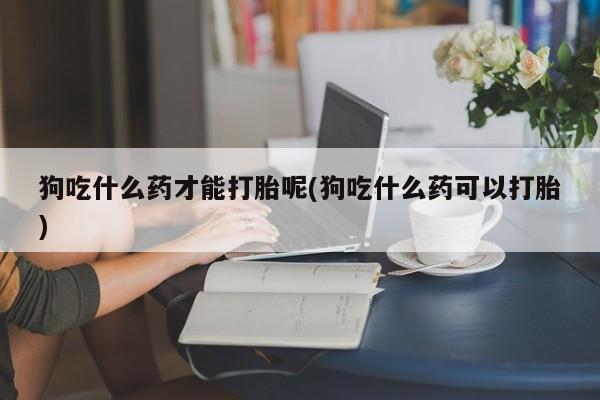卖打胎药的微信狗吃什么药才能打胎呢(狗吃什么药可以打胎)