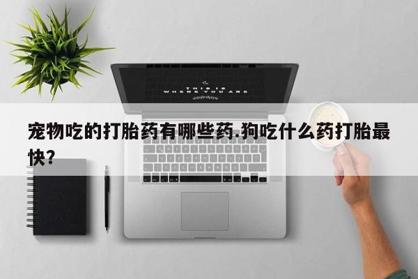 卖打胎药的微信宠物吃的打胎药有哪些药.狗吃什么药打胎最快？