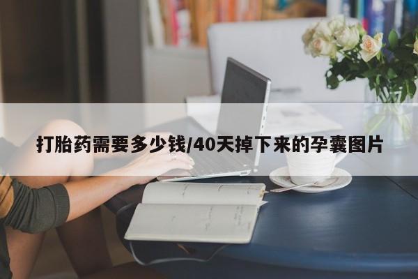 卖打胎药的微信打胎药需要多少钱/40天掉下来的孕囊图片